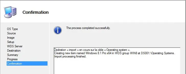import-wds-04.webp